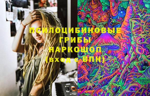 МДПВ Бородино