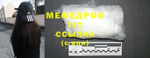 МДПВ Бородино