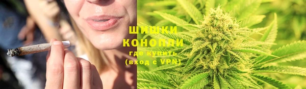 МДПВ Бородино