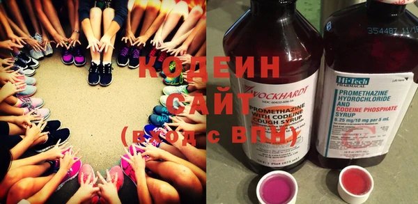 МДПВ Бородино