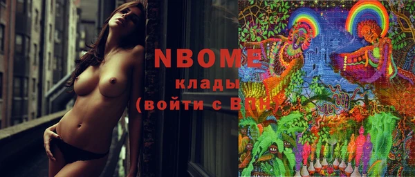 МДПВ Бородино