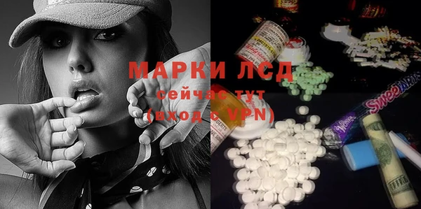 МДПВ Бородино