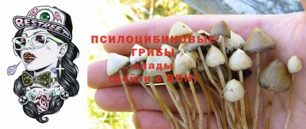 МДПВ Бородино