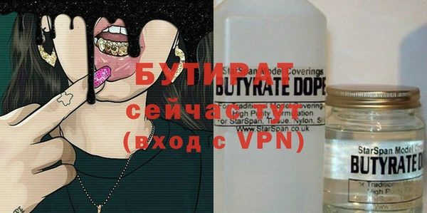 МДПВ Бородино
