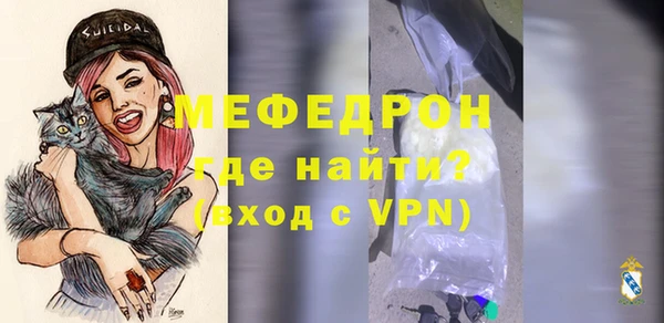 МДПВ Бородино