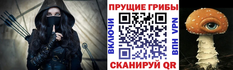 Псилоцибиновые грибы Cubensis  Нижнекамск 