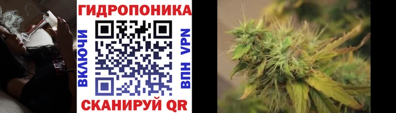 как найти   Нижнекамск  Каннабис VHQ 